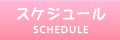 スケジュール